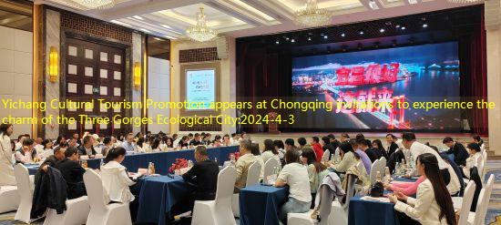 Yichang Cultural Tourism Promotion appears at Chongqing invitations to experience the charm of the Three Gorges Ecological City